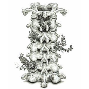 白丝小脚夹住命根上下摩擦的预防措施有哪些
